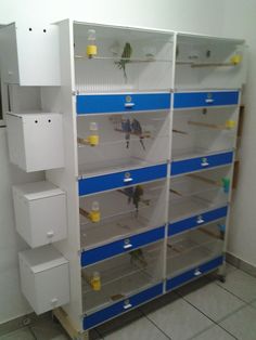 a large white and blue shelf filled with lots of birds in it's cages