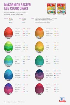 an info sheet showing the different colors of eggs in each egg color chart, and what they