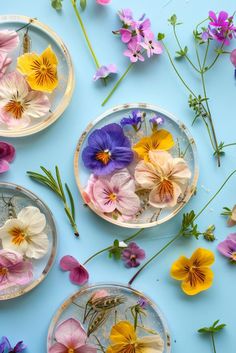 colorful pansies and other flowers in glass dishes on a blue surface with scattered water