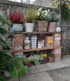 a shelf filled with potted plants on top of a stone wall