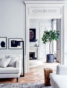 a living room filled with furniture and a potted plant