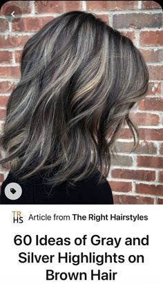 Hide Grey Hair, Silver Hair Highlights, Grey Hair Dye, Grey Hair Inspiration, Hairstyles For Layered Hair