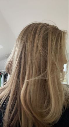 Subtle Balayage Blond, Dark Blonde Beach Hair, Honey Lowlights On Blonde Hair, Soft Dirty Blonde Hair, Natural Dirty Blonde With Highlights, Dark Blonde Hair With Highlights And Lowlights, Dirty Blonde Hair With Highlights Short, Dark Blonde Long Bob, Light Blonde Hair With Lowlights