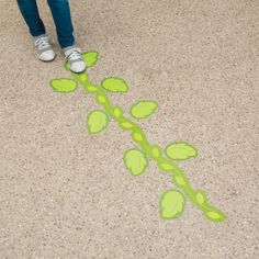 a person standing in front of a drawing of a plant on the ground with green leaves