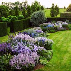 the garden is full of purple and white flowers in it's center, surrounded by hedges