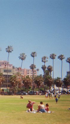 people are sitting on the grass in front of palm trees and buildings, while one person is flying a kite