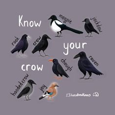 several different types of birds with the words know and grow in each one's beaks