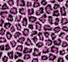 an animal print background with pink and black colors stock photo - 138978