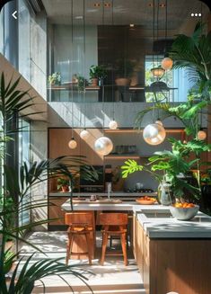 an open kitchen and dining area with plants in the foreground, large windows above