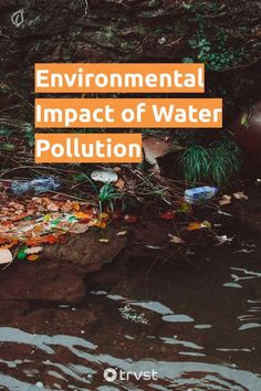 the environmental impact of water pollution is shown in this image with text that reads, environmental impact of water pollution