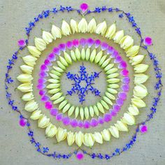 a circular design made up of flowers and blue beads with the words damala written on it