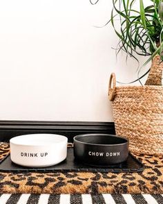 two bowls with drink up and chow down written on them sitting on a rug next to a potted plant