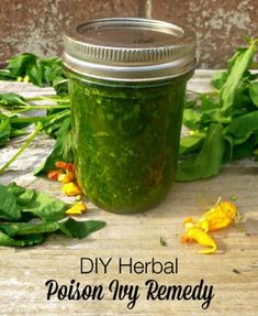 Herbal Diy, Poison Ivy Remedies, Boomer Generation, Natural Therapy, Natural Diy, Natural Health Remedies, Poison Ivy