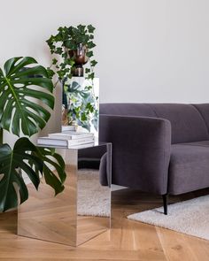 a living room with a couch, chair and potted plant