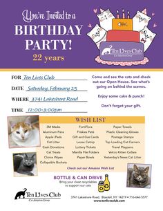 a flyer for a birthday party with cats