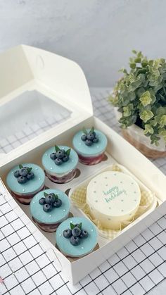 a box filled with cupcakes covered in blue frosting next to a potted plant