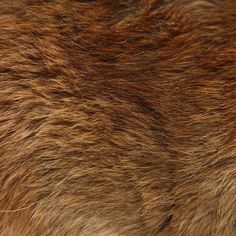 a close up view of an animal's fur