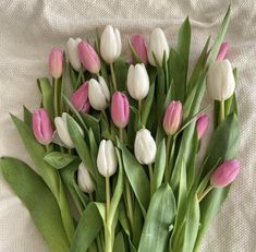 a bunch of pink and white tulips with green leaves