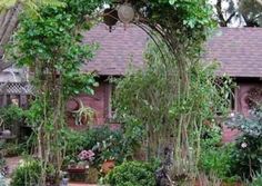 an outdoor garden with lots of plants and flowers