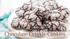 chocolate crinkle cookies on a plate with the words chocolate crinkle cookies