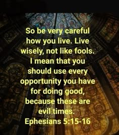 So be very careful how you live. Live wisely, not like fools. I mean that you should use every opportunity you have for doing good, because these are evil times. Godly Woman Quotes, God's Love Quotes, God's Grace, Scripture Quotes Bible, Jesus Quotes, The Fool, Bible Quotes