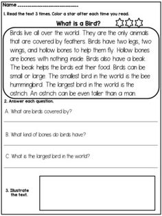 worksheet for reading the birds and other animals in order to learn how to read them