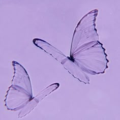 two butterflies flying in the air on a light purple background with no one around them