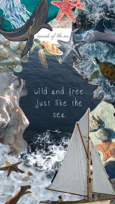 the words wild and free just like the sea are surrounded by images of ocean animals