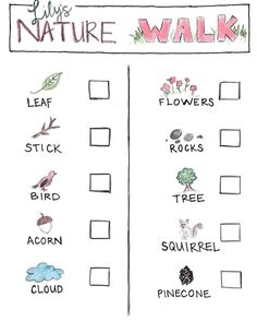 a drawing of a nature walk checklist with animals and plants on the top one