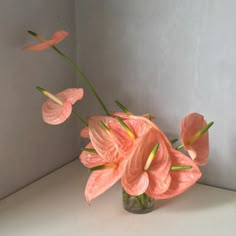 some pink flowers are in a glass vase