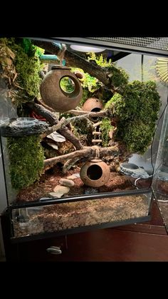 a fish tank filled with plants and rocks