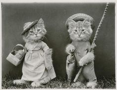 two cats dressed up in costumes holding fish and fishing poles, one cat is wearing a sailor's hat