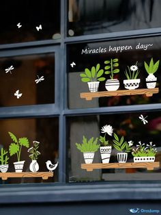 there are many potted plants in the window