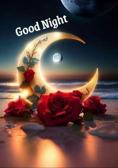 two red roses sitting on top of a beach next to a crescent with the words good night written in it