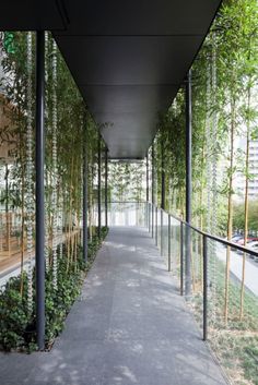 the walkway is lined with plants and glass railings that lead up to the building