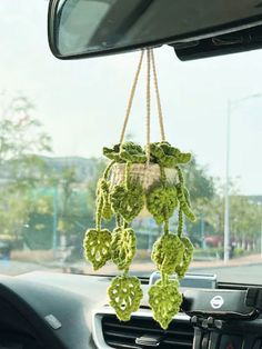 a car dashboard with some plants hanging from it