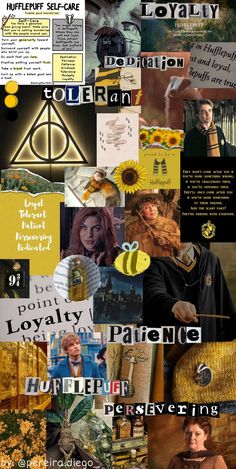 harry potter collage with images and words