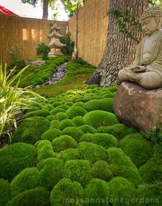 a buddha statue sitting on top of a moss covered rock in the middle of a garden