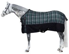 a horse with a blanket on it's back standing in front of a white background