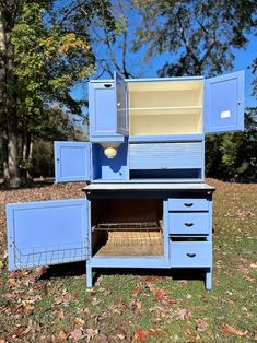 an old fashioned blue oven sitting in the grass