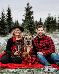 a man and woman sitting on a blanket with two dogs