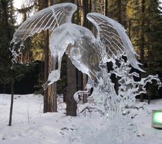 an ice sculpture in the middle of a forest with water pouring out of it's wings