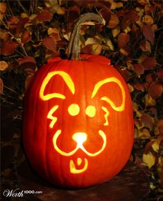 a carved pumpkin with a dog's face on it