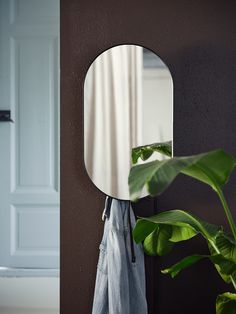 a mirror hanging on the side of a wall next to a potted green plant