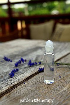 natural after bite  - it really works to stop the itch of insect bites Mosquito Prevention, Bug Bites Remedies, Bug Bite Relief, Bite Relief, Bone Healing, Insect Bite, Bug Bite, Garden Therapy