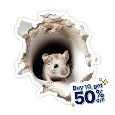 a sticker depicting a rat peeking out of a hole in the wall that says buy 10 get 50 % off