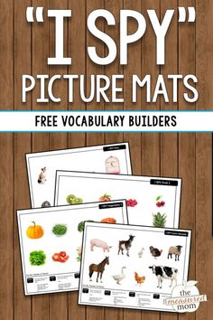 the i spy picture mats are great for teaching children to learn how to use pictures