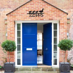 a blue front door with two planters on either side and the number 1001 above it