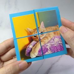 a person holding up a small card with an image of a cat in the middle