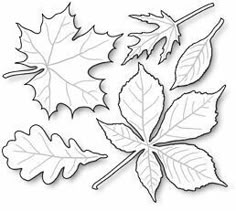 three leaves are shown in the shape of an outline on a white background, and one is